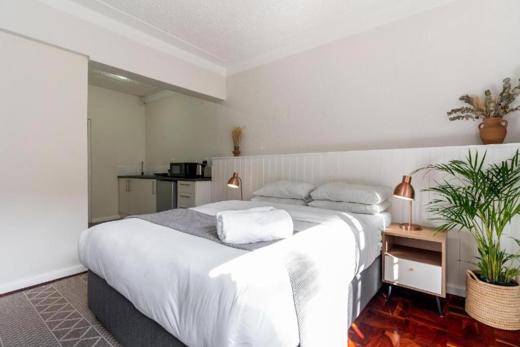 Hostel Curiocity Kloof Street Cape Town